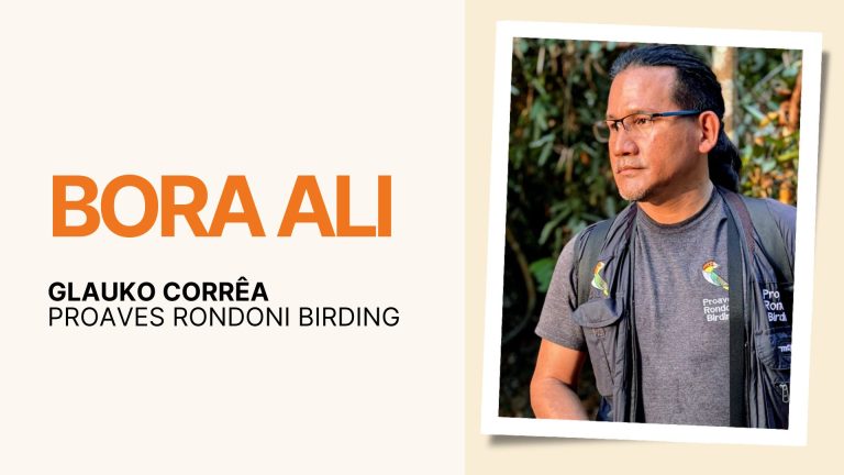 Bora Ali: Glauko Corrêa e o birdwatching em Rondônia