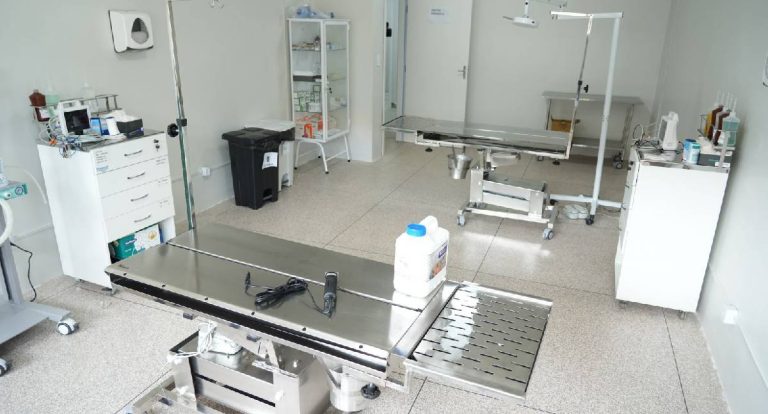 Clínica Animal terá horários especiais durante o Carnaval em Porto Velho