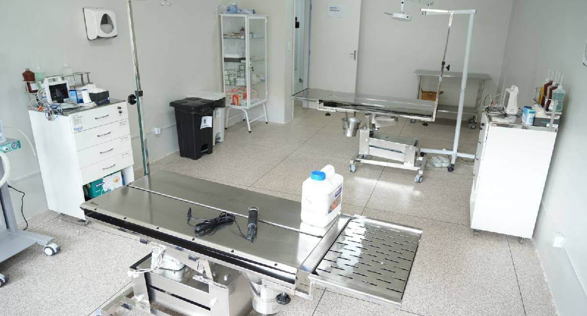 Clínica Animal terá horários especiais durante o Carnaval em Porto Velho