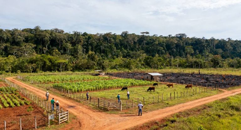 Em lei, Marcos Rocha regulamenta transição fundiária na Estação Soldado da Borracha