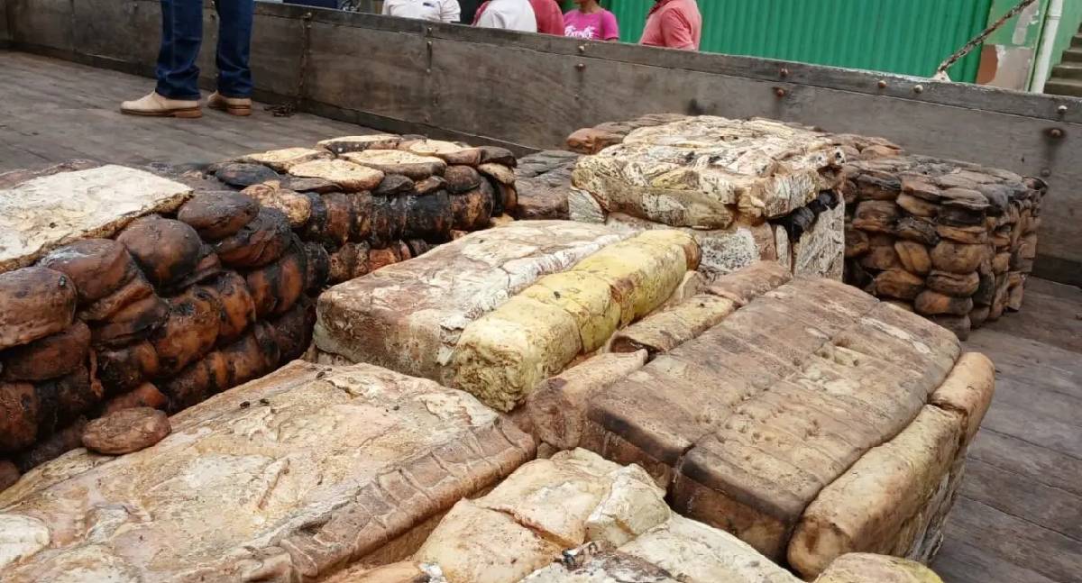 Extrativismo sustentável avança com comercialização de borracha em Unidades de Conservação