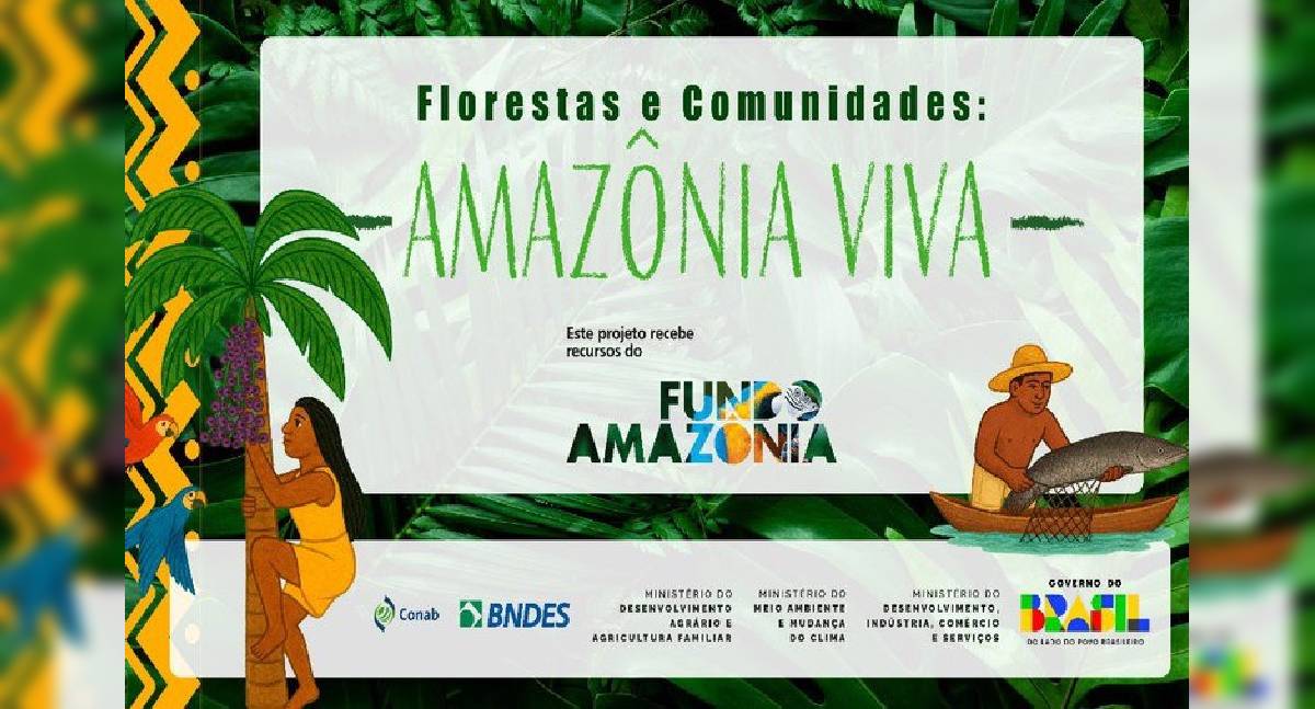 Fundo Amazônia lança chamada pública de R$ 80 milhões para produção sustentável