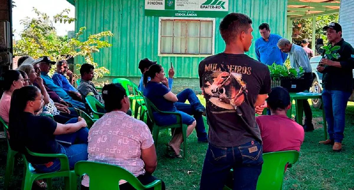 Governo de RO amplia cafeicultura com 115 mil mudas