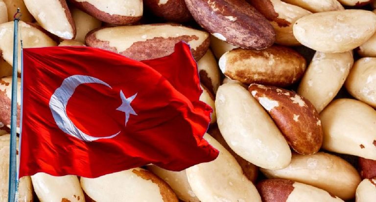 Mercado aberto: Brasil amplia comércio exterior e libera venda de castanha para a Turquia