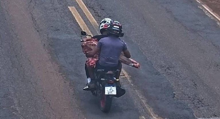 Polícia identifica 11 suspeitos e recupera 2 toneladas de carne em MT