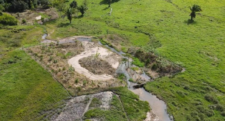 Rondônia: recuperação de nascentes avança