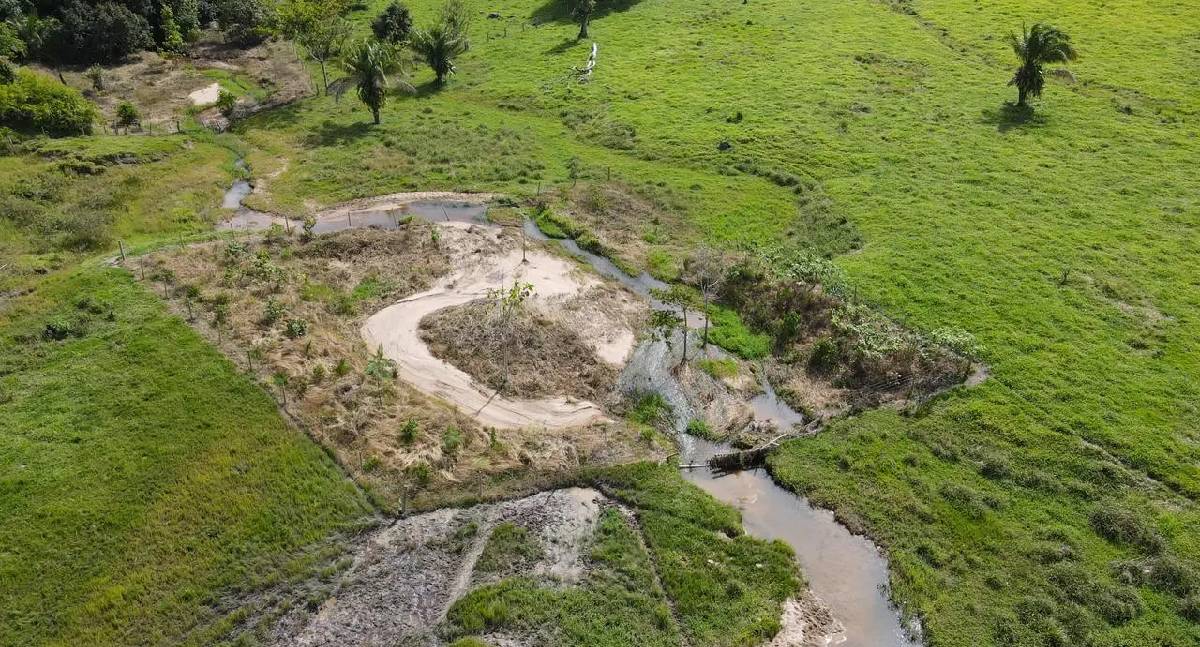Rondônia: recuperação de nascentes avança