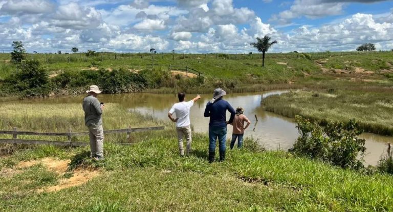 Monitoramento de áreas em recuperação ambiental é intensificado em Rondônia