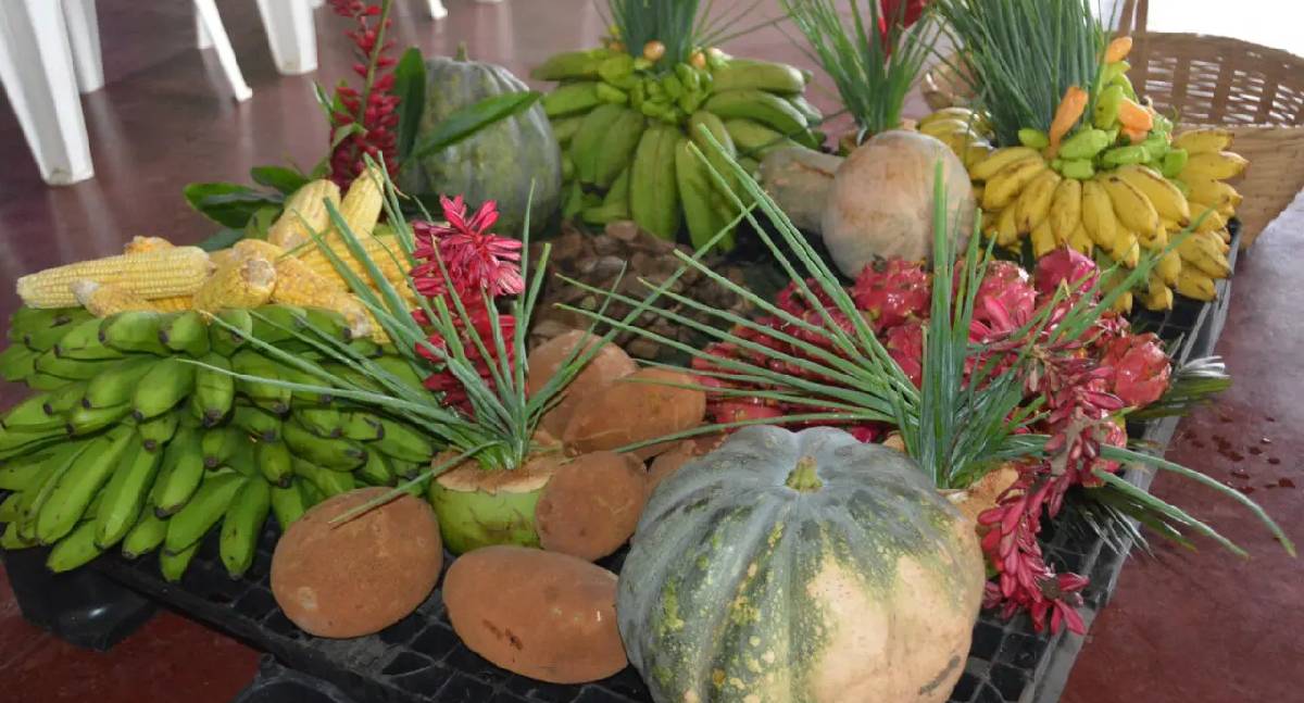 Rondônia publica edital do PAA: compra de alimentos da agricultura familiar