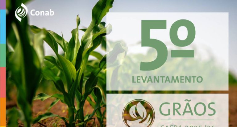 Safra de grãos pode bater recorde com 353,4 milhões de toneladas