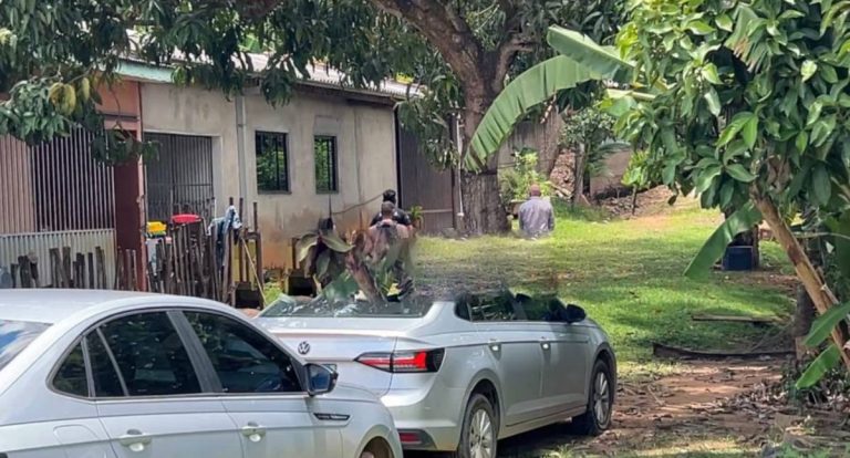 Acusado de homicídio em bar se apresenta à polícia em RO