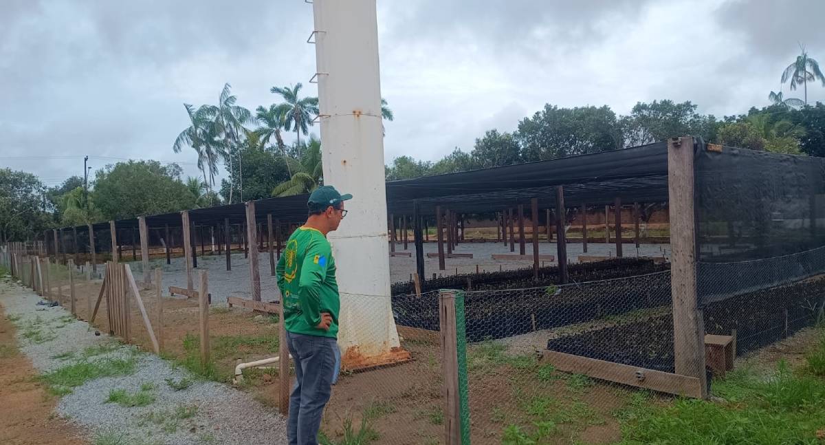 Apicultura ganha reforço com integração no Madeira-Mamoré