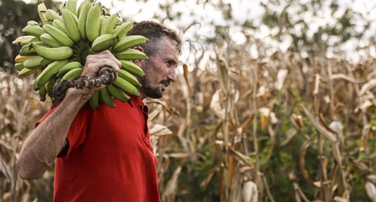 Câmara aprova uso de recursos do FGO para garantir crédito do Pronaf