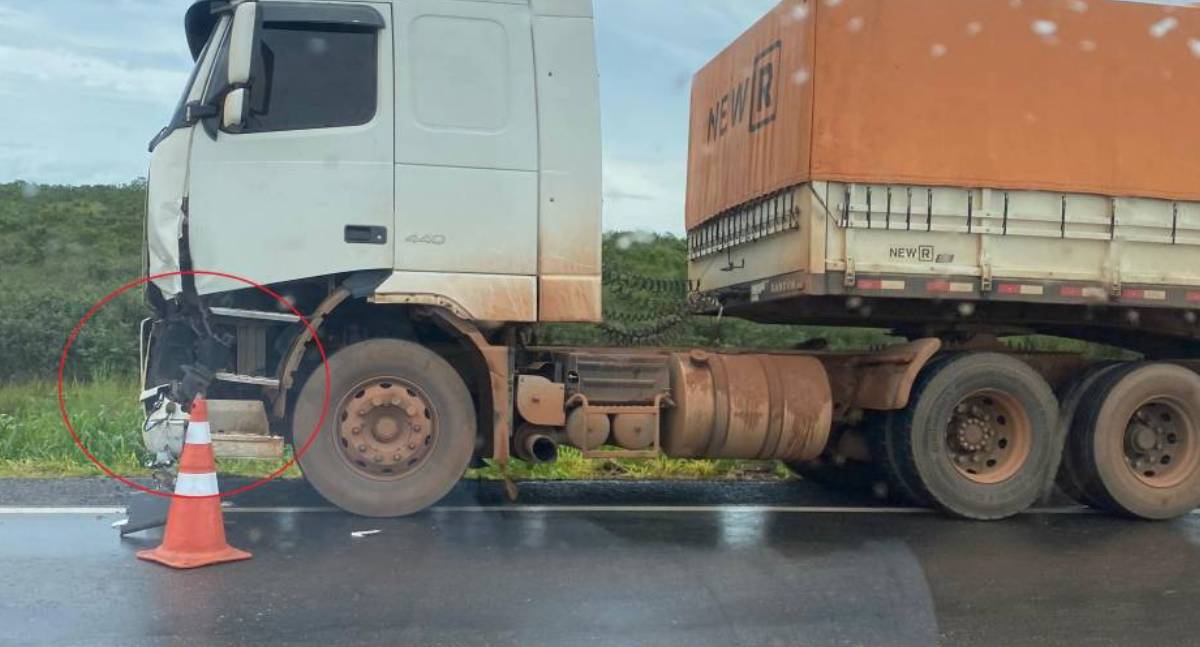 Caminhoneiro afirma à polícia que sofreu mal súbito antes de acidente com duas mortes na BR-364
