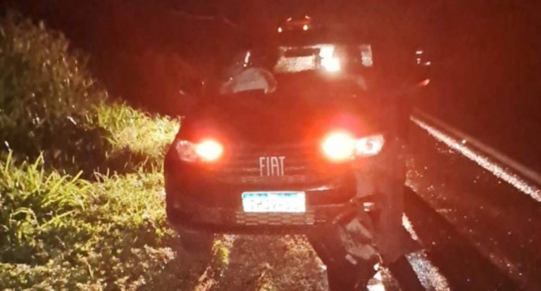 Capivara provoca acidente na BR-364 e motorista fica ferido em RO