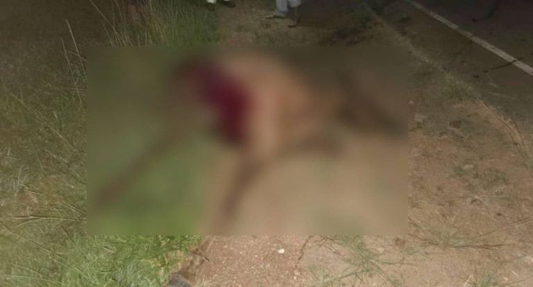 Cavalo solto na RO-383 causa acidente e morre atropelado em RO