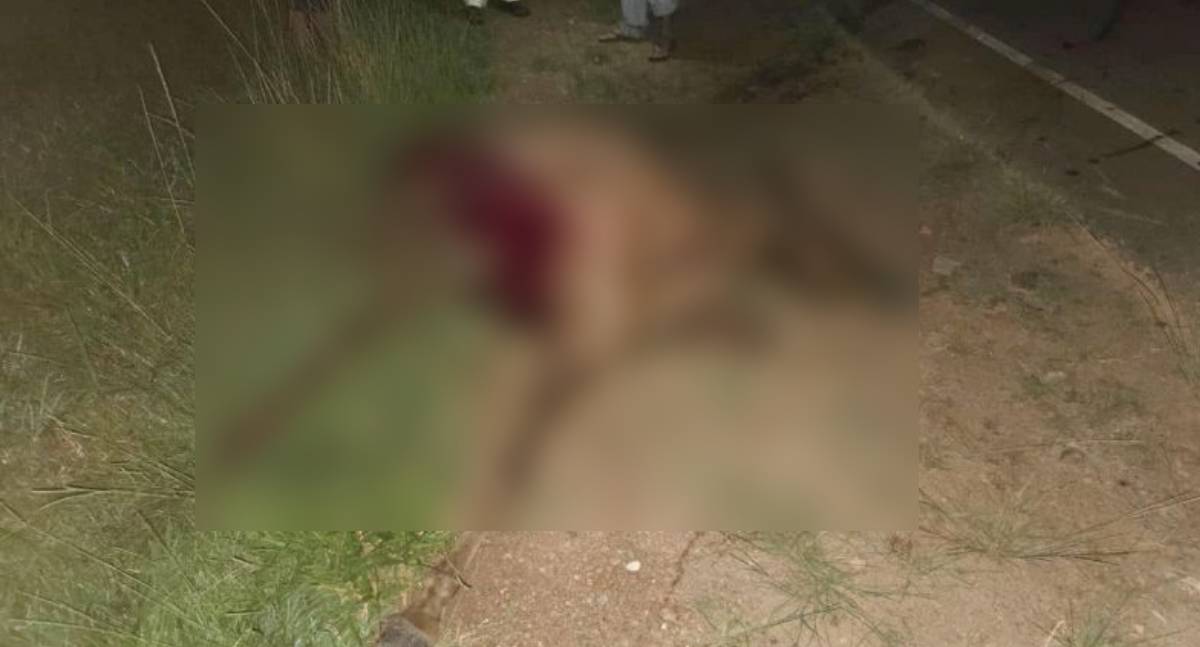 Cavalo solto na RO-383 causa acidente e morre atropelado em RO