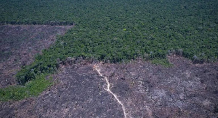Desmatamento avança sobre áreas protegidas na Amazônia Legal