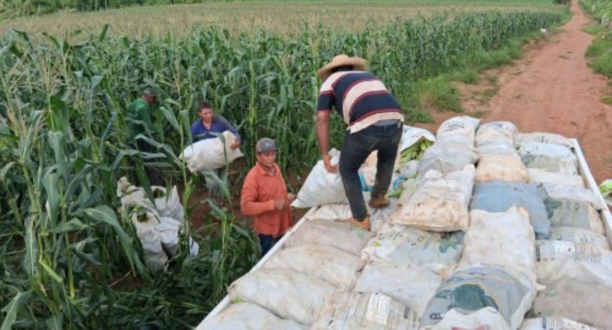 Dia do Agronegócio destaca força da agricultura familiar em Porto Velho