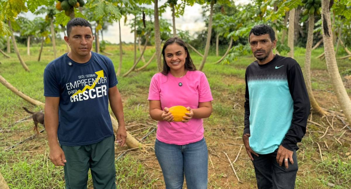 Dra. Taíssa visita produtor de hidroponia em Urupá