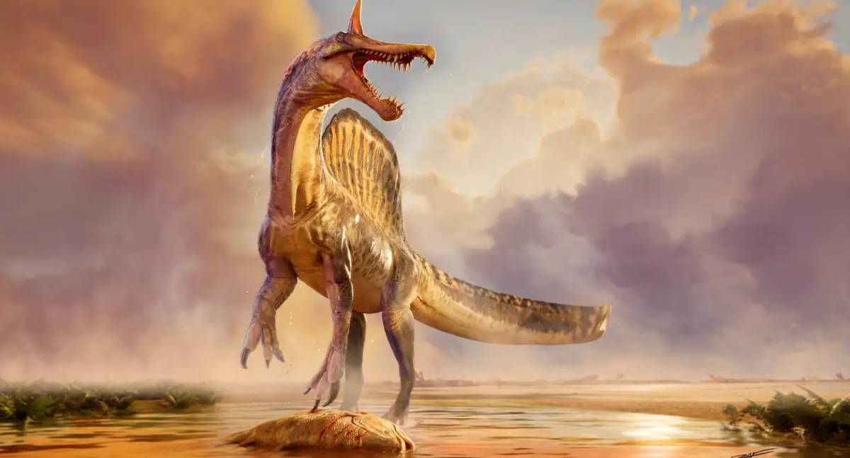 Fósseis de nova espécie de dinossauro gigante são encontrados no Níger