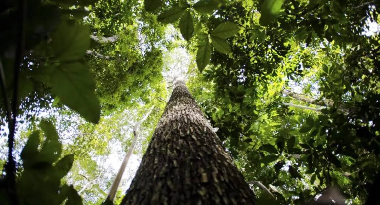Governo estuda decreto para ajustar regras do licenciamento ambiental
