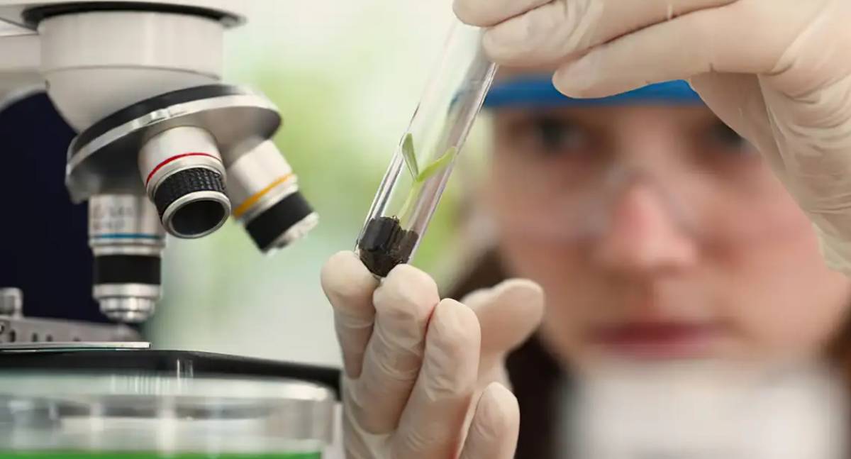 Observatório Nacional lança edital do programa Meninas Cientistas