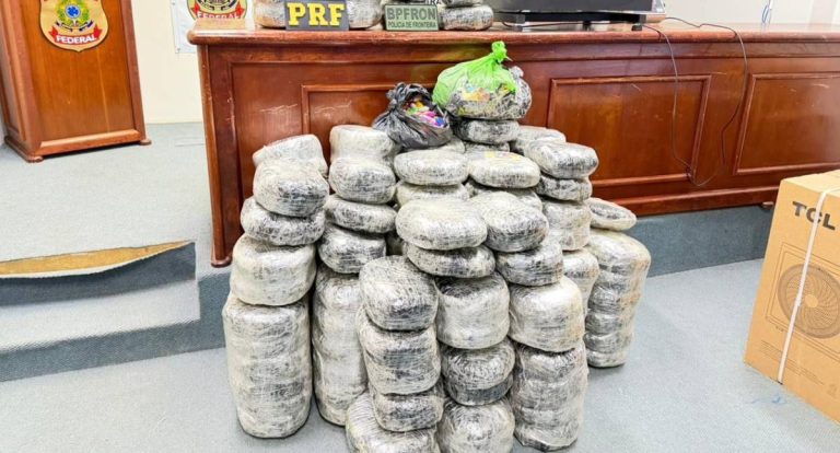 Operação conjunta apreende 173 kg de maconha em São Miguel do Guaporé