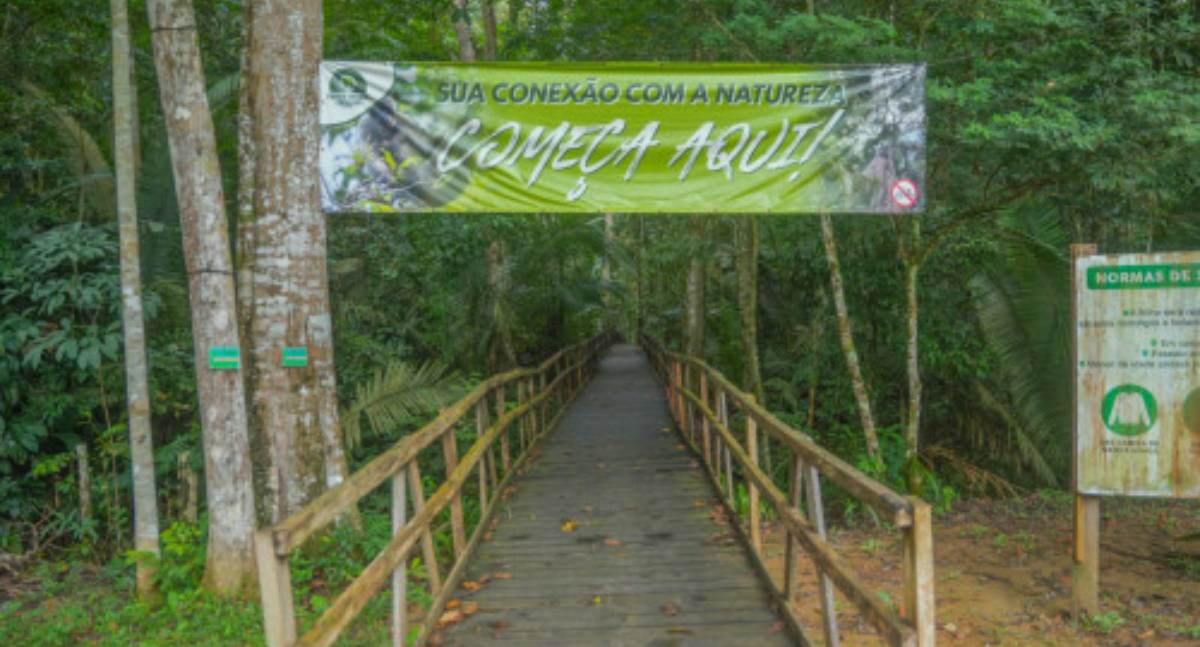 Parque Natural ganha trilha suspensa na floresta
