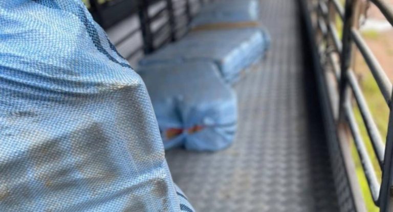 PF prende homem com 261 kg de skunk na BR-364