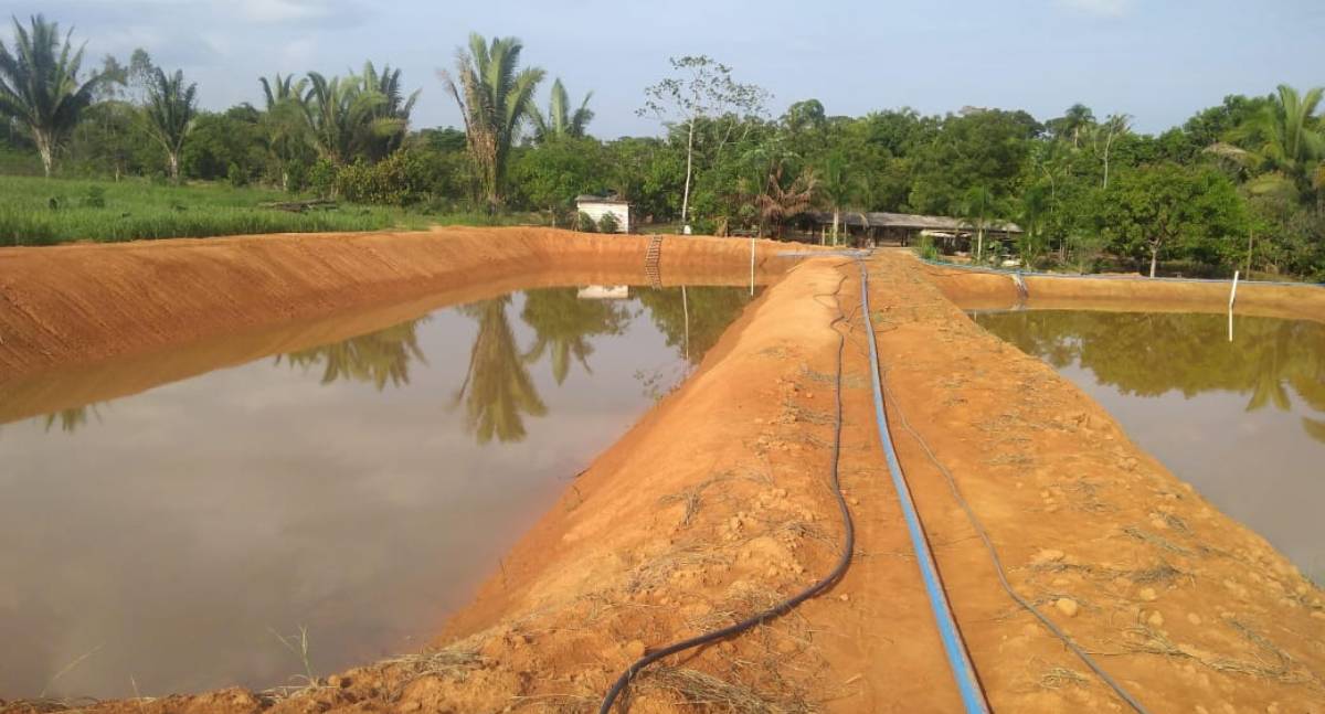 Piscicultura sustentável recebe reforço tecnológico em parceria entre Prefeitura e Unir