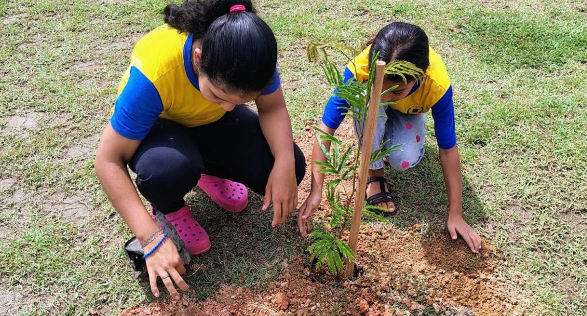 Plantio de 70 mudas marca ação ambiental em Porto Velho