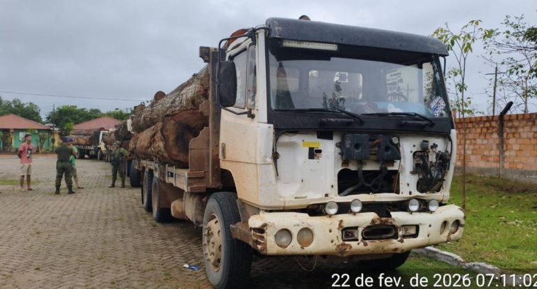 PM apreende 78 m³ de madeira e cinco veículos em RO