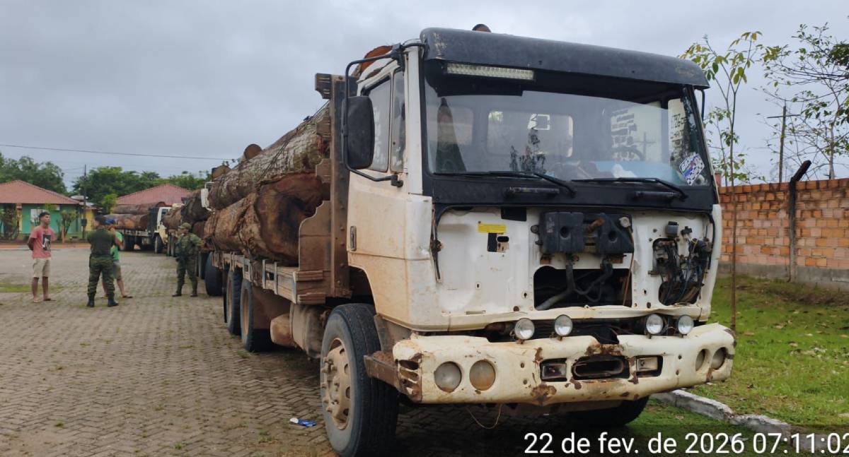 PM apreende 78 m³ de madeira e cinco veículos em RO
