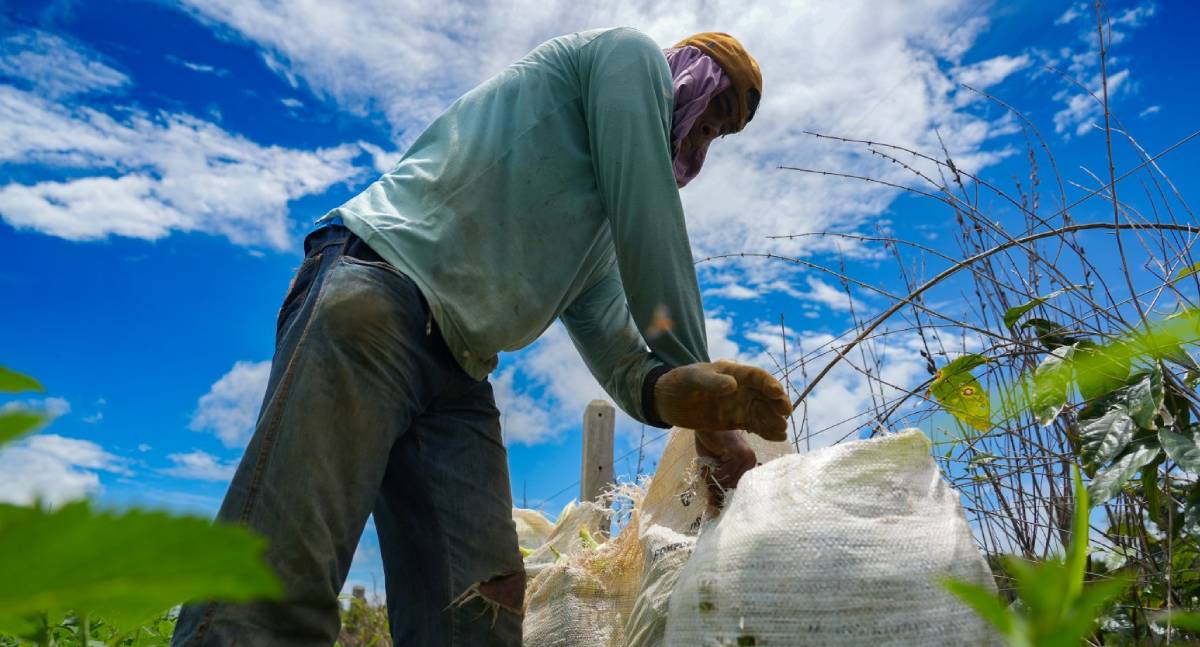 Prefeitura de PVH reduz custo do frete rural