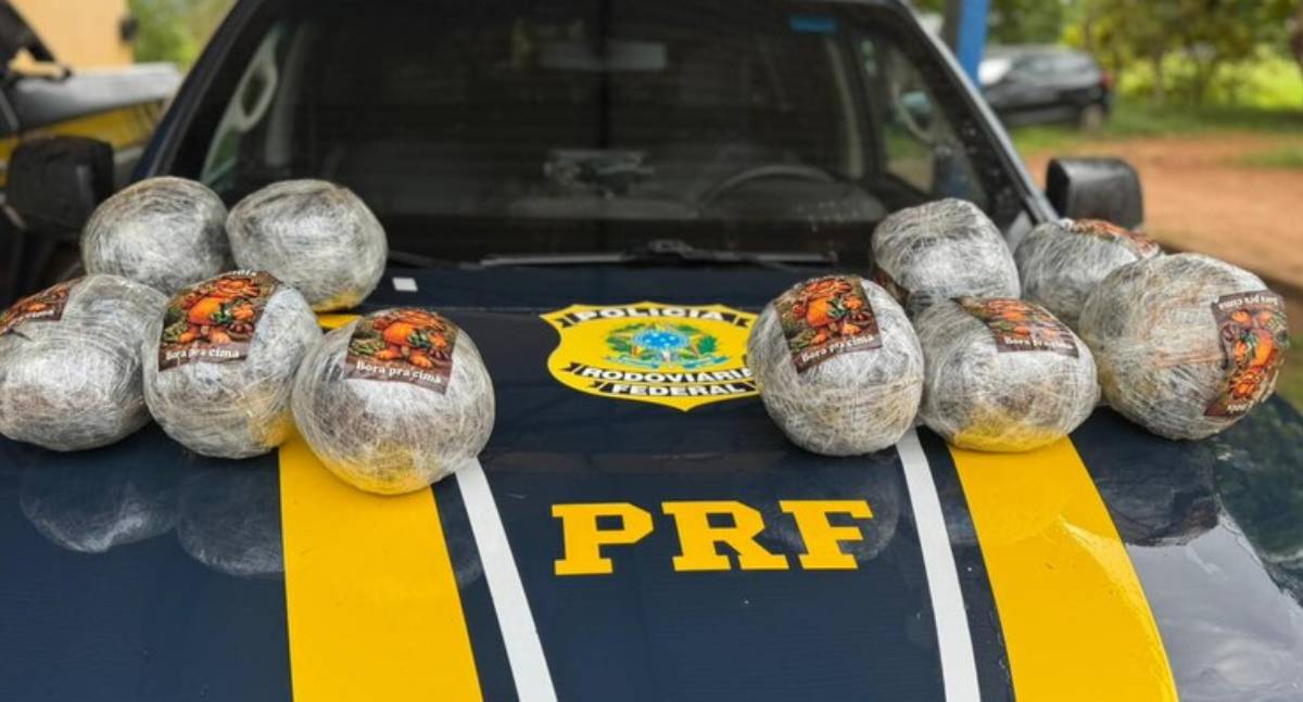 PRF apreende cerca de 11 kg de skunk em ônibus na BR 425