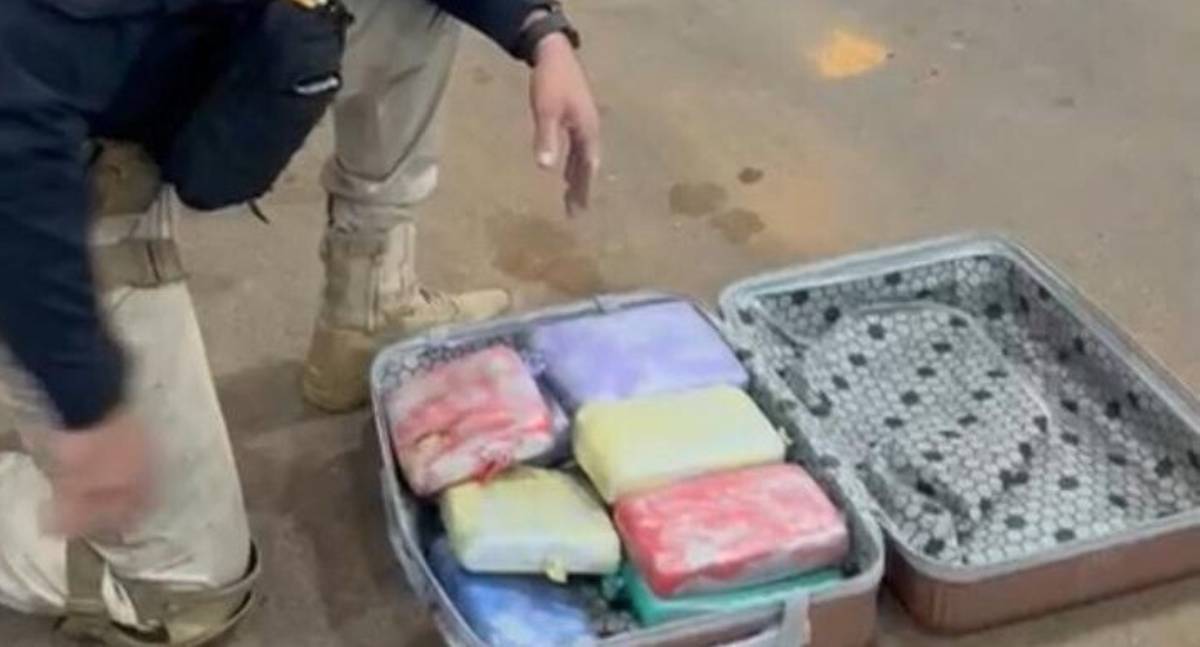 PRF em Rondônia apreende cerca de 11 kg de skunk em ônibus na BR-364