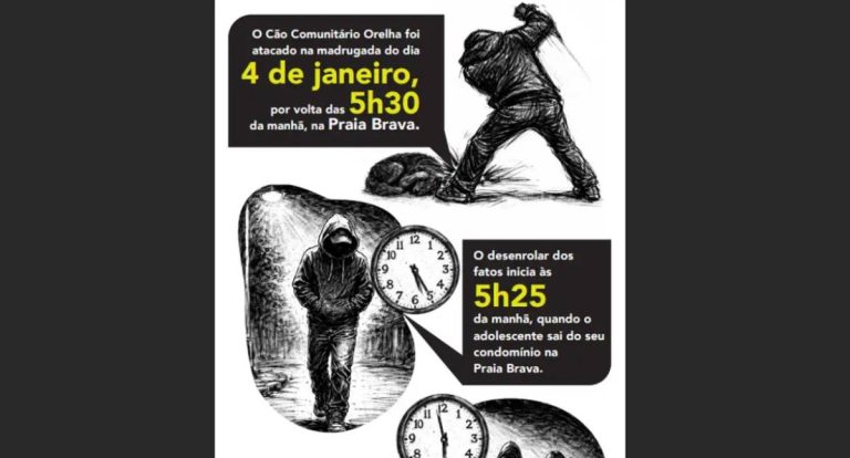 Tecnologia ajuda polícia a desvendar morte do cão Orelha