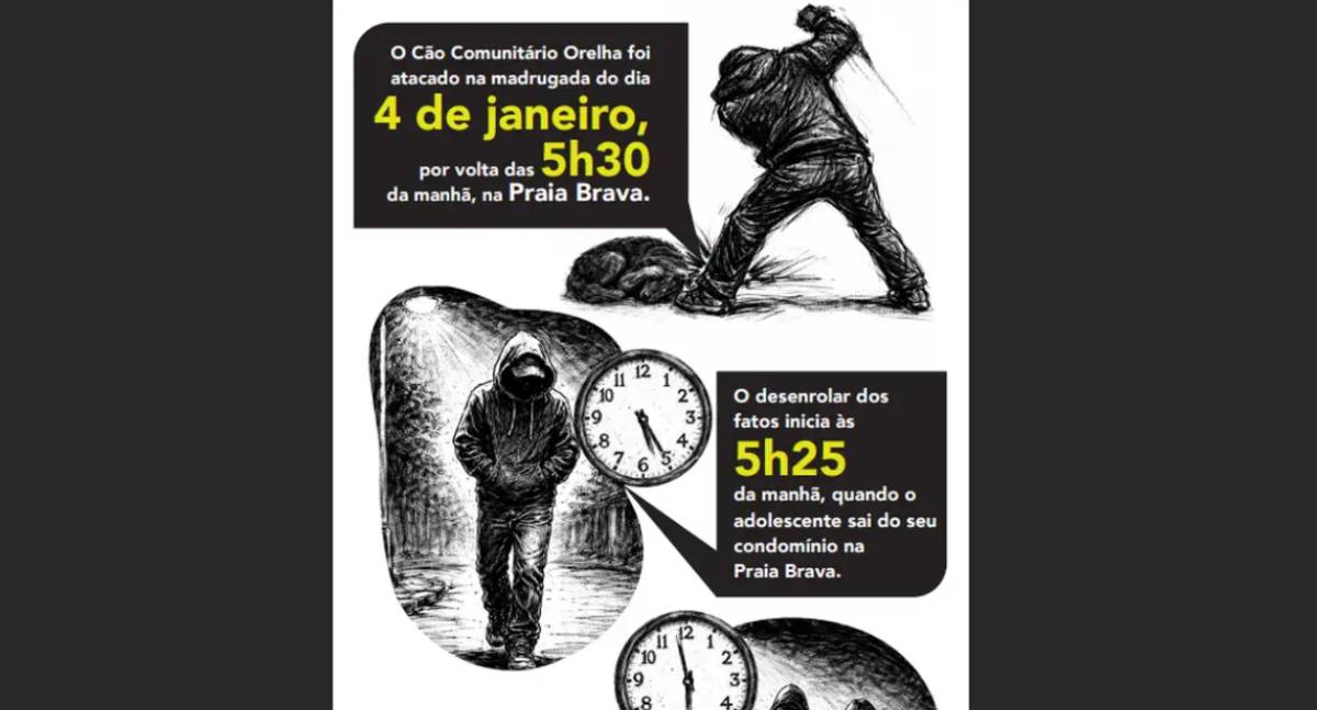 Tecnologia ajuda polícia a desvendar morte do cão Orelha