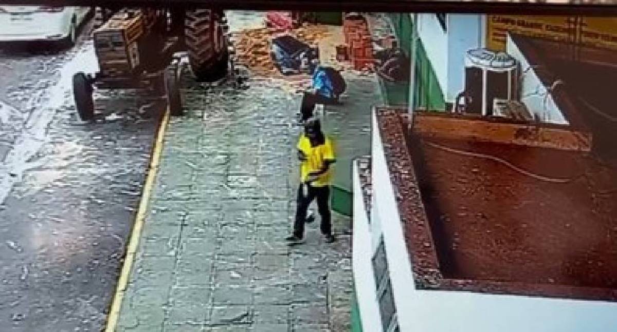 Suspeito de homicídio é preso após depenar e comer pomba crua em MT