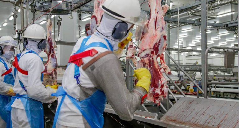 Mais de 2,3 mil vagas abertas em Rondônia: confira sua cidade