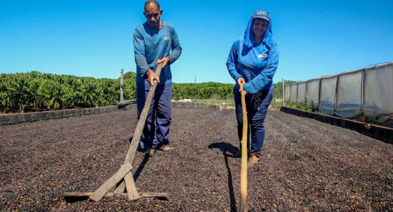 Governo de RO: agricultura impulsiona economia do estado