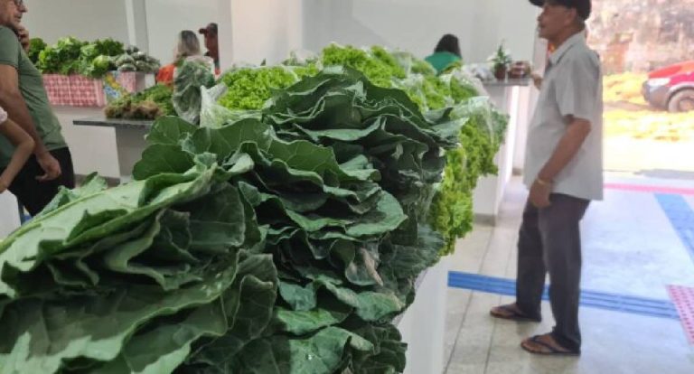 Jaru: chamada pública fortalece agricultura familiar