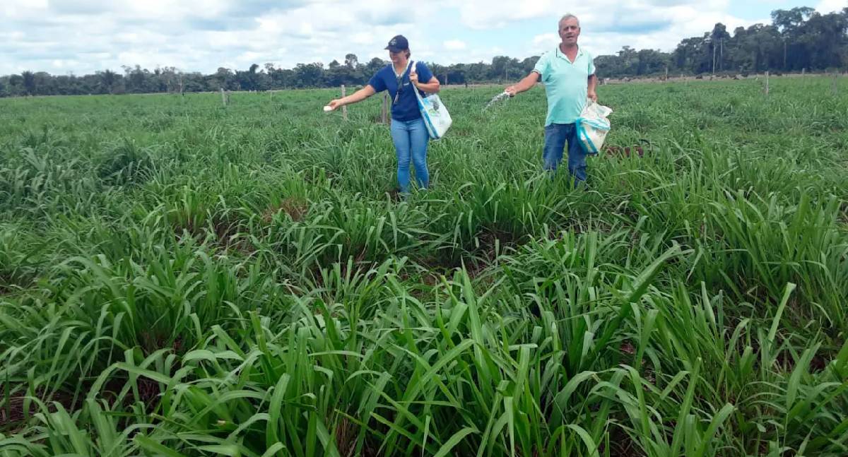 Tecnologia impulsiona pecuária leiteira em Itapuã do Oeste