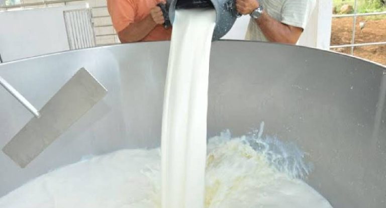 Cláudia de Jesus assume CPI do Leite e mira crise no setor