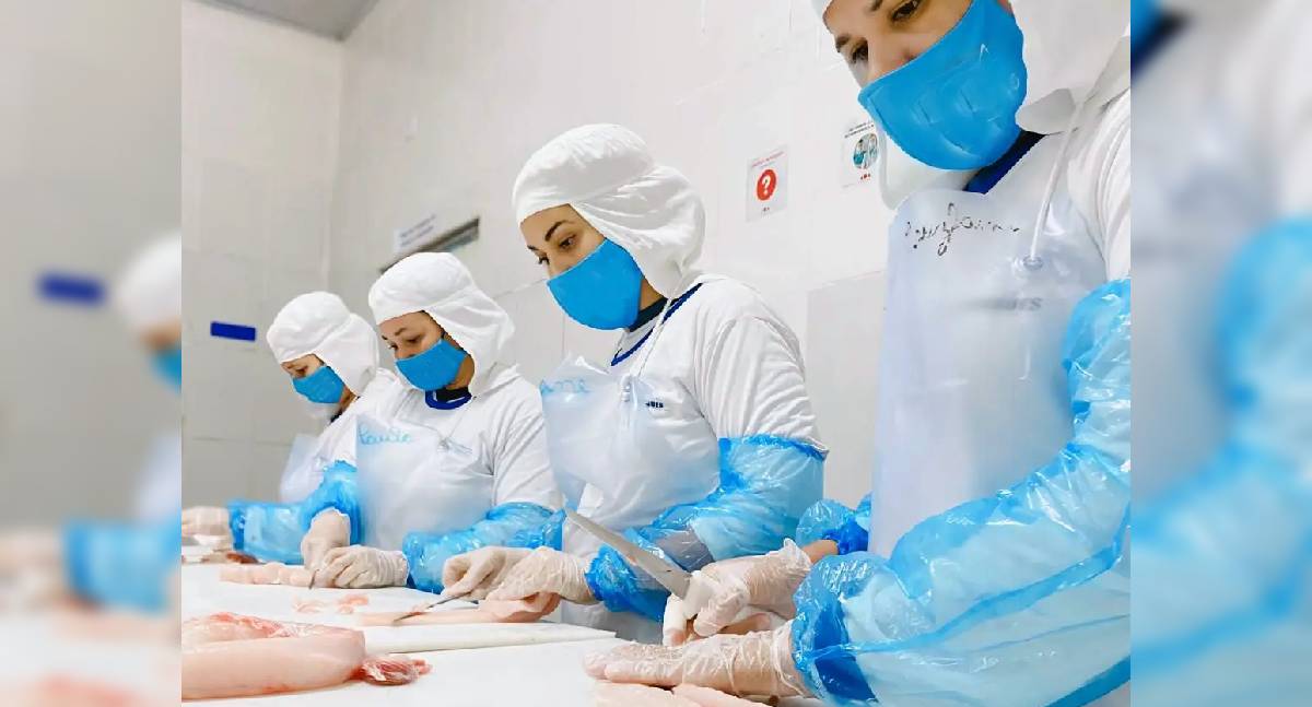 Sine-RO oferta 2,4 mil vagas de emprego no estado