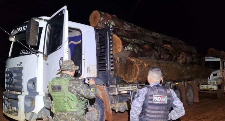 Operação Vesúvio localiza comboio com madeira ilegal em RO