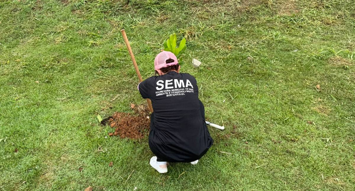 Plantio de 210 mudas leva arborização e melhora ambiental ao Morar Melhor em Porto Velho
