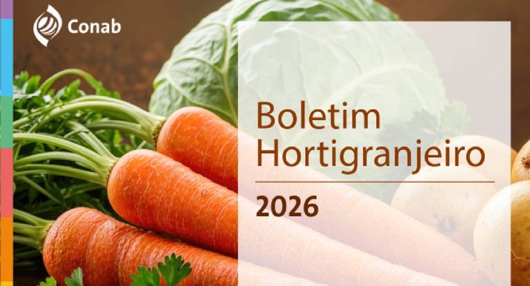 Preços das frutas caem no atacado, aponta Conab