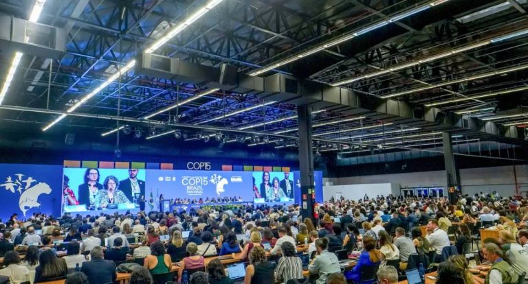 Abertura da COP15 em Campo Grande destaca urgência na proteção de espécies migratórias